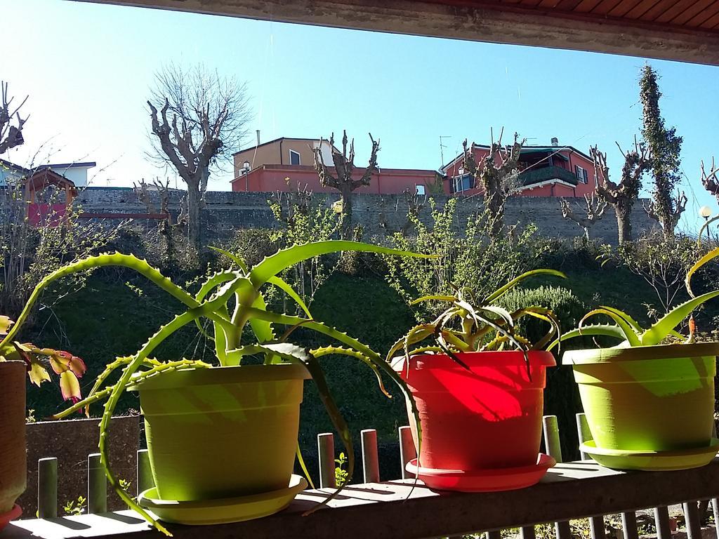 Tarcisio B&B Tavullia Esterno foto